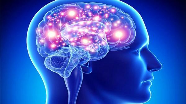 مغز ما چگونه می اندیشد؟