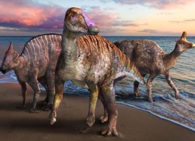 10 دایناسور شگفت انگیز که در سال 2021 کشف شدند