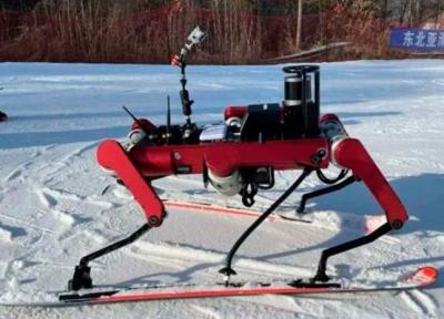 حضور یک ربات اسکی باز در کنفرانس جهانی ربات 2022 چین